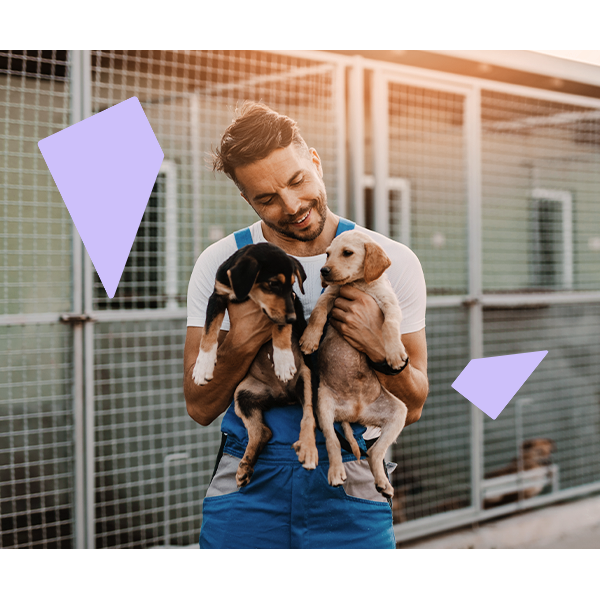 Finding clients as a freelance dog groomer