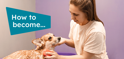 How to become a freelance dog groomer 2