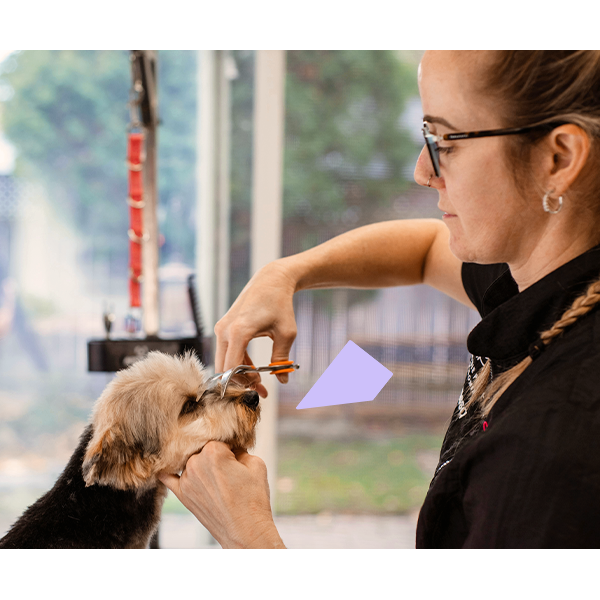 What does a freelance dog groomer actually do