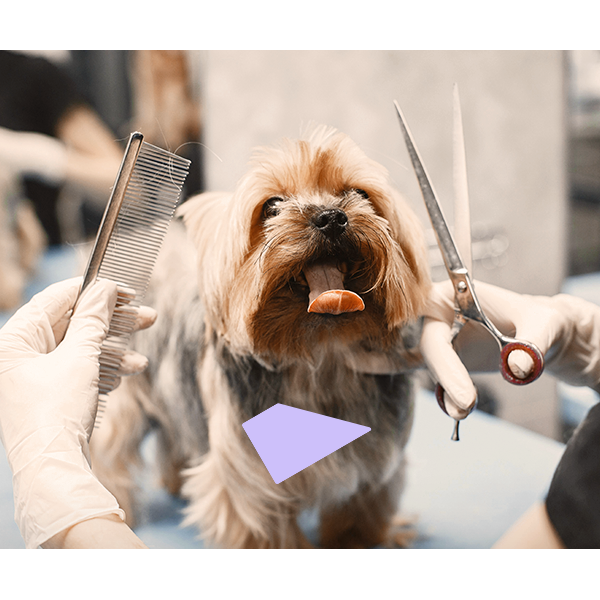 What equipment and resources do you need to invest in