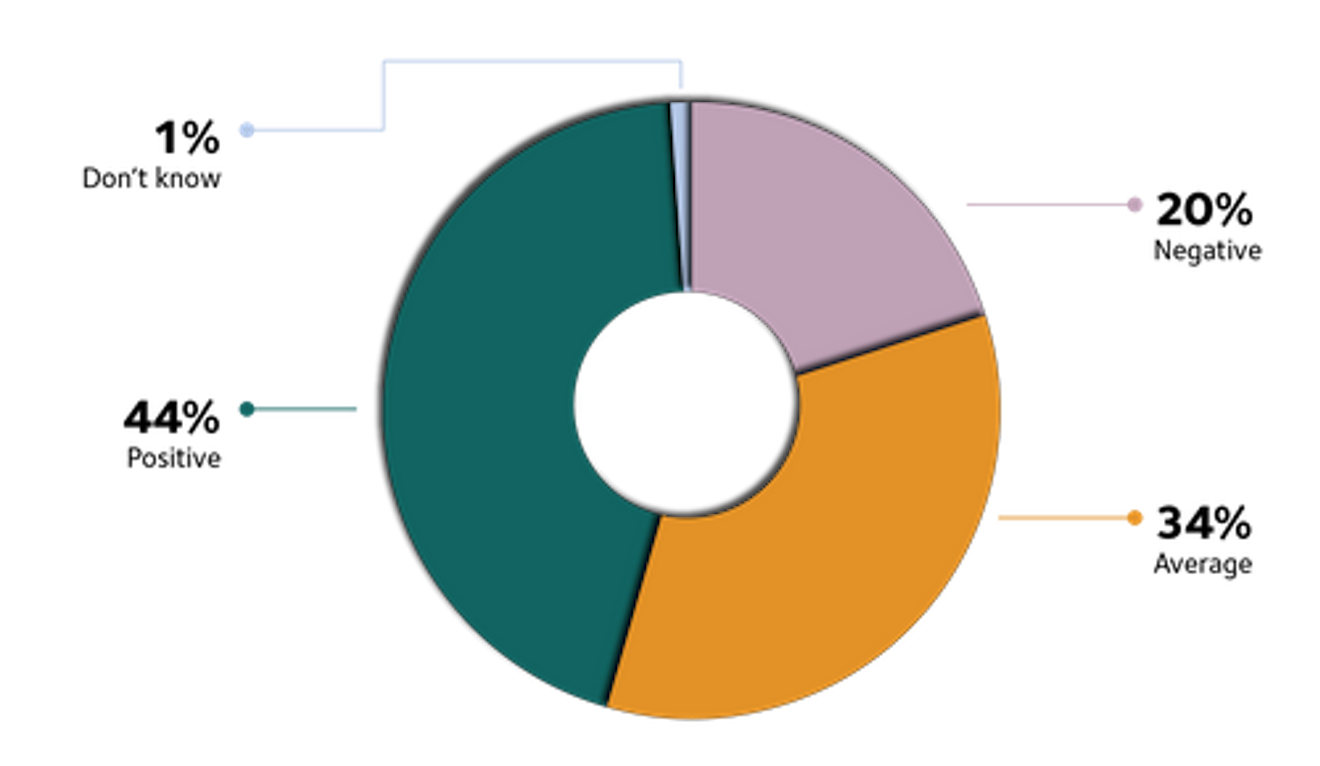 Pie chart 2 mental health levels