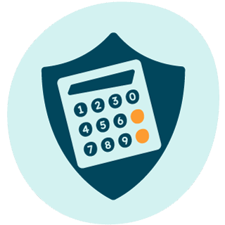 Tax and VAT investigation cover